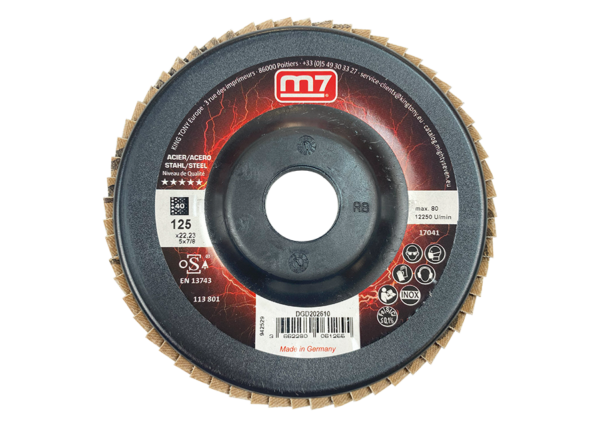 10 DISQUES À LAMELLES EN ZIRCON