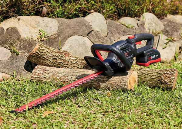 DHT101_01 taille haie